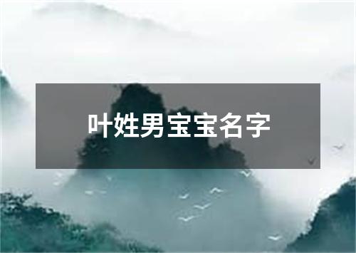 叶姓男宝宝名字