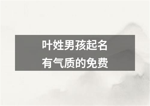 叶姓男孩起名有气质的免费