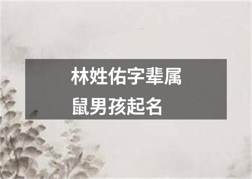 林姓佑字辈属鼠男孩起名