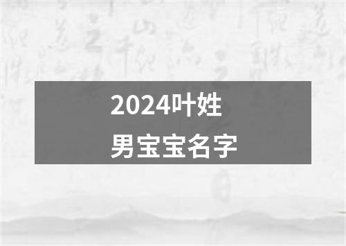 2024叶姓男宝宝名字
