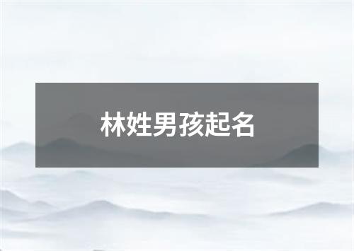 林姓男孩起名
