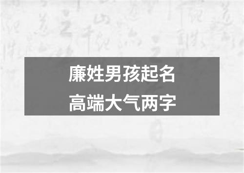 廉姓男孩起名高端大气两字