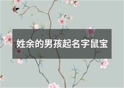 姓余的男孩起名字鼠宝