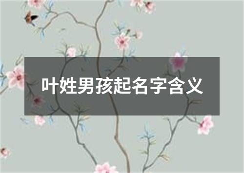 叶姓男孩起名字含义