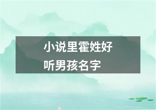 小说里霍姓好听男孩名字
