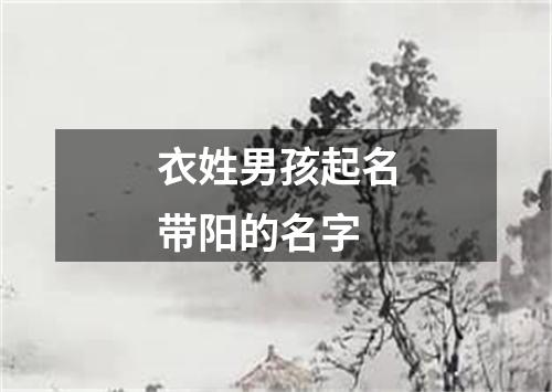 衣姓男孩起名带阳的名字