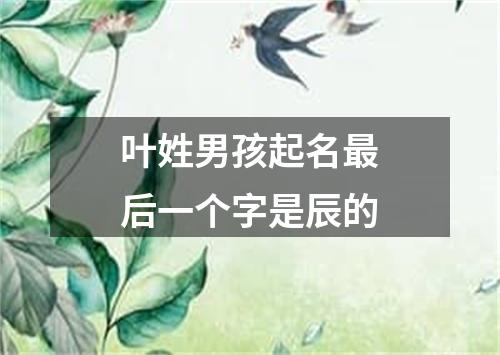 叶姓男孩起名最后一个字是辰的