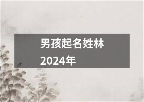 男孩起名姓林2024年