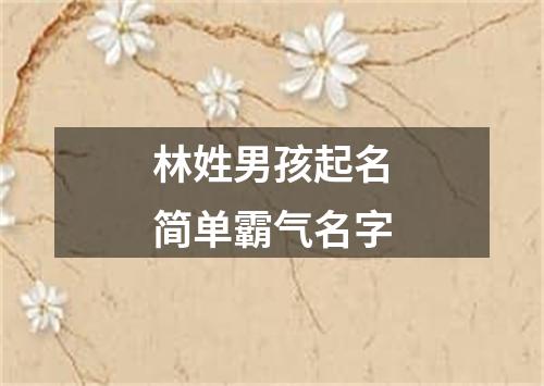 林姓男孩起名简单霸气名字