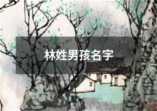 林姓男孩名字