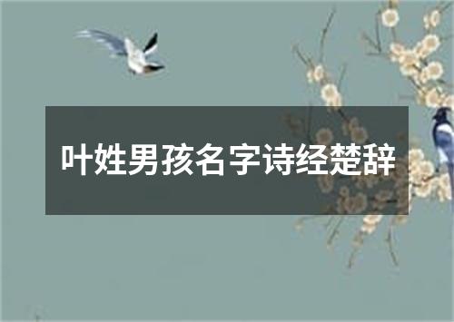 叶姓男孩名字诗经楚辞