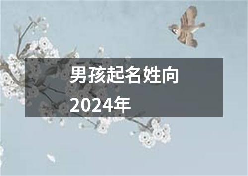 男孩起名姓向2024年