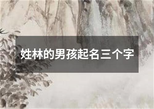 姓林的男孩起名三个字