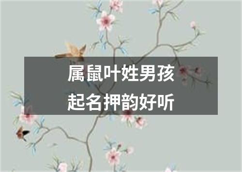 属鼠叶姓男孩起名押韵好听