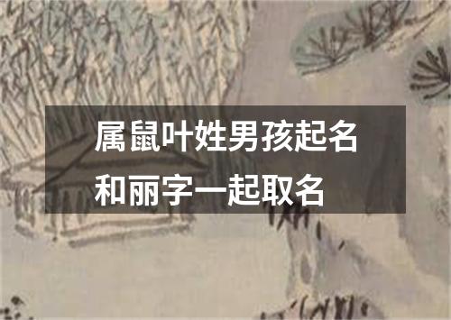 属鼠叶姓男孩起名和丽字一起取名