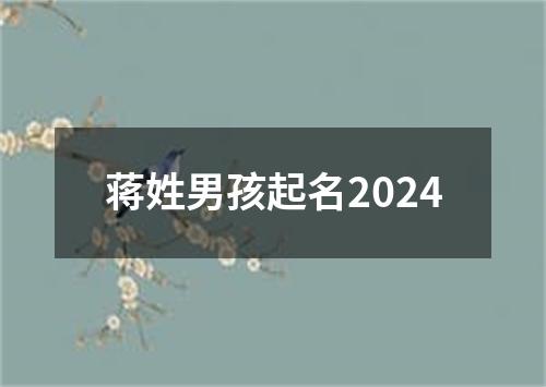 蒋姓男孩起名2024