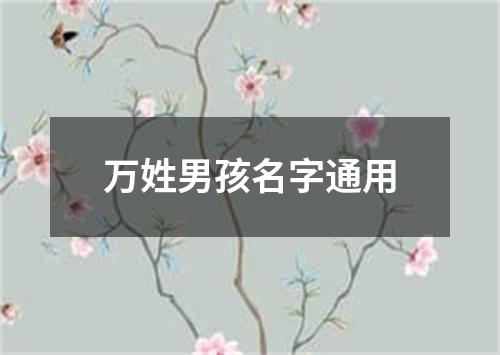万姓男孩名字通用