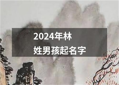 2024年林姓男孩起名字