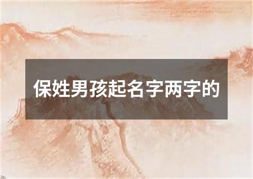 保姓男孩起名字两字的