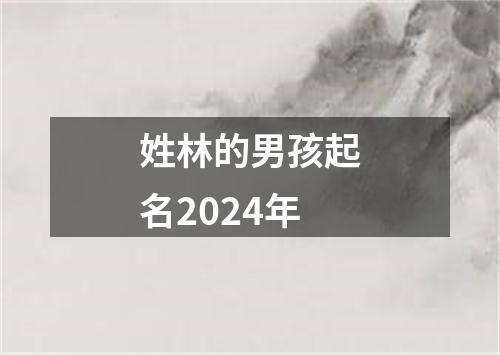 姓林的男孩起名2024年