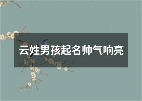 云姓男孩起名帅气响亮