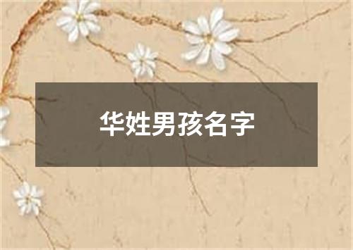 华姓男孩名字