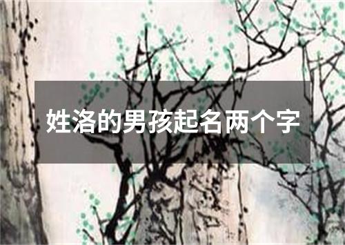 姓洛的男孩起名两个字