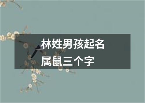 林姓男孩起名属鼠三个字