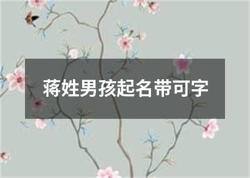 蒋姓男孩起名带可字