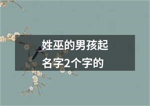 姓巫的男孩起名字2个字的