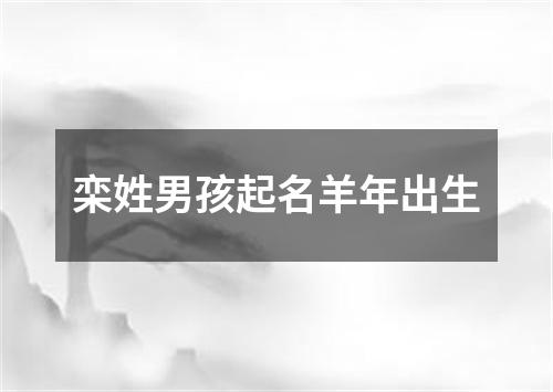 栾姓男孩起名羊年出生