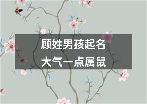 顾姓男孩起名大气一点属鼠