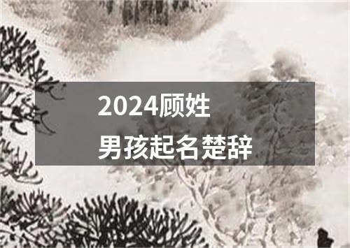 2024顾姓男孩起名楚辞