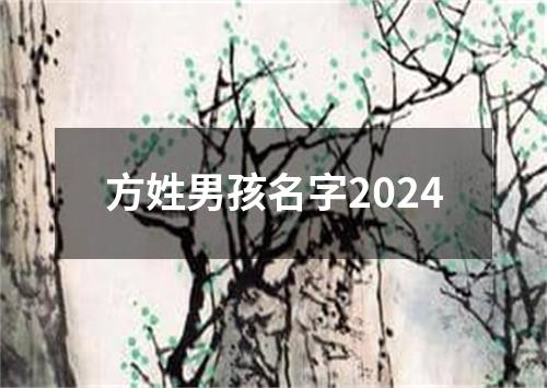 方姓男孩名字2024