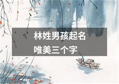林姓男孩起名唯美三个字