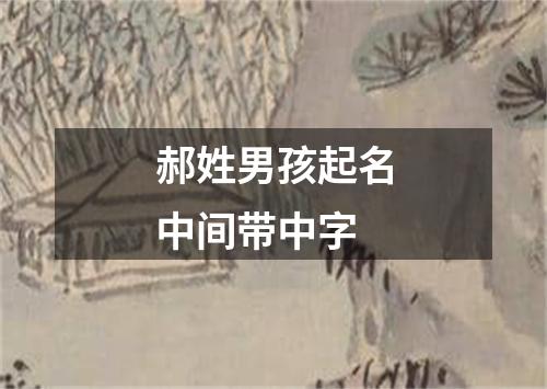 郝姓男孩起名中间带中字