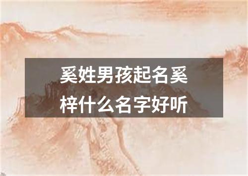 奚姓男孩起名奚梓什么名字好听