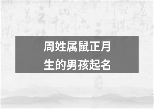 周姓属鼠正月生的男孩起名
