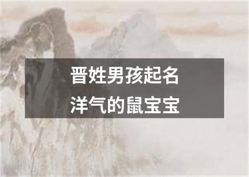 晋姓男孩起名洋气的鼠宝宝