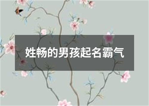 姓畅的男孩起名霸气