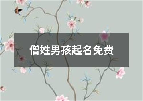 僧姓男孩起名免费