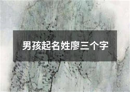 男孩起名姓廖三个字