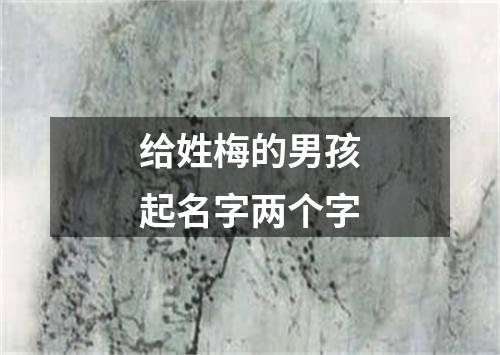 给姓梅的男孩起名字两个字