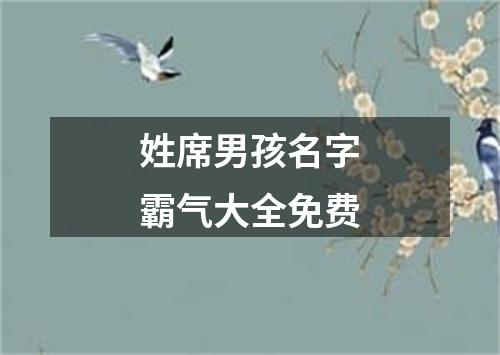 姓席男孩名字霸气大全免费