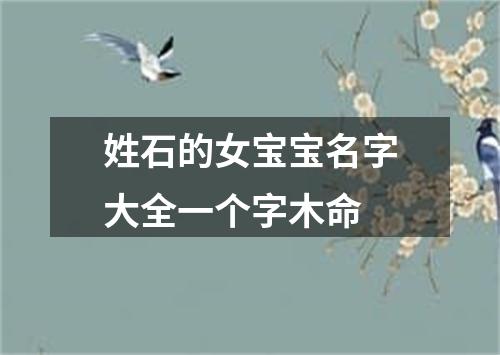 姓石的女宝宝名字大全一个字木命