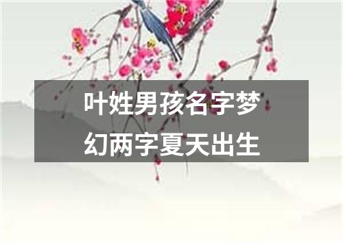 叶姓男孩名字梦幻两字夏天出生