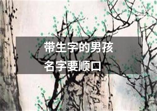 带生字的男孩名字要顺口