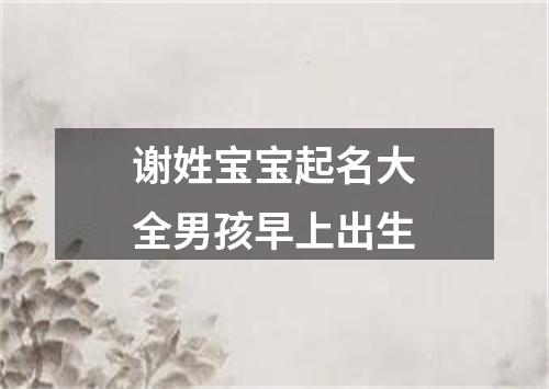 谢姓宝宝起名大全男孩早上出生