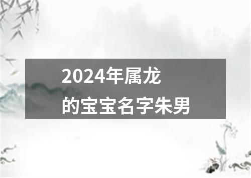 2024年属龙的宝宝名字朱男