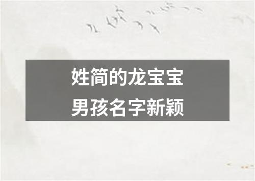 姓简的龙宝宝男孩名字新颖